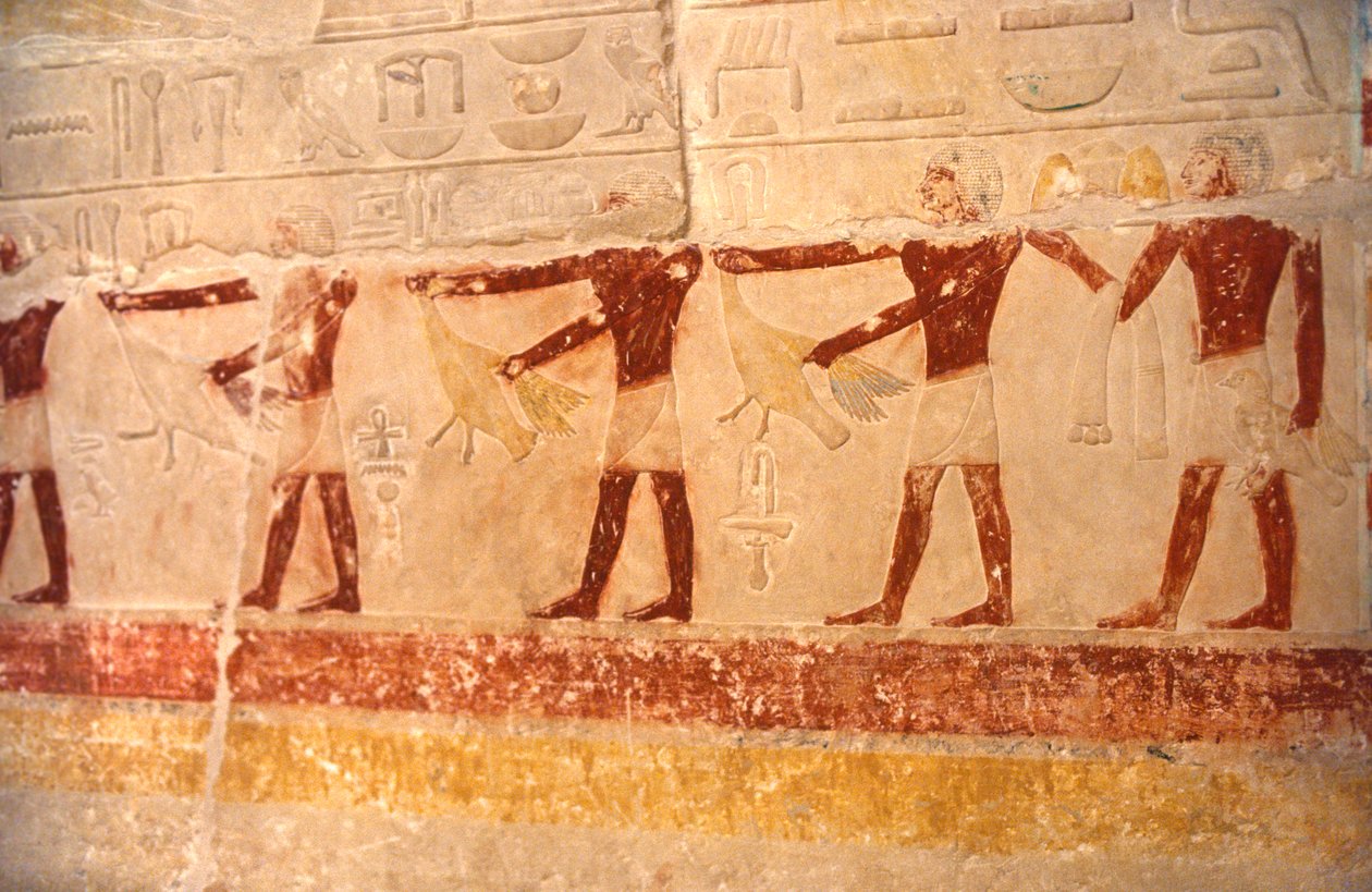 Hiéroglyphes, Égypte - Unknown