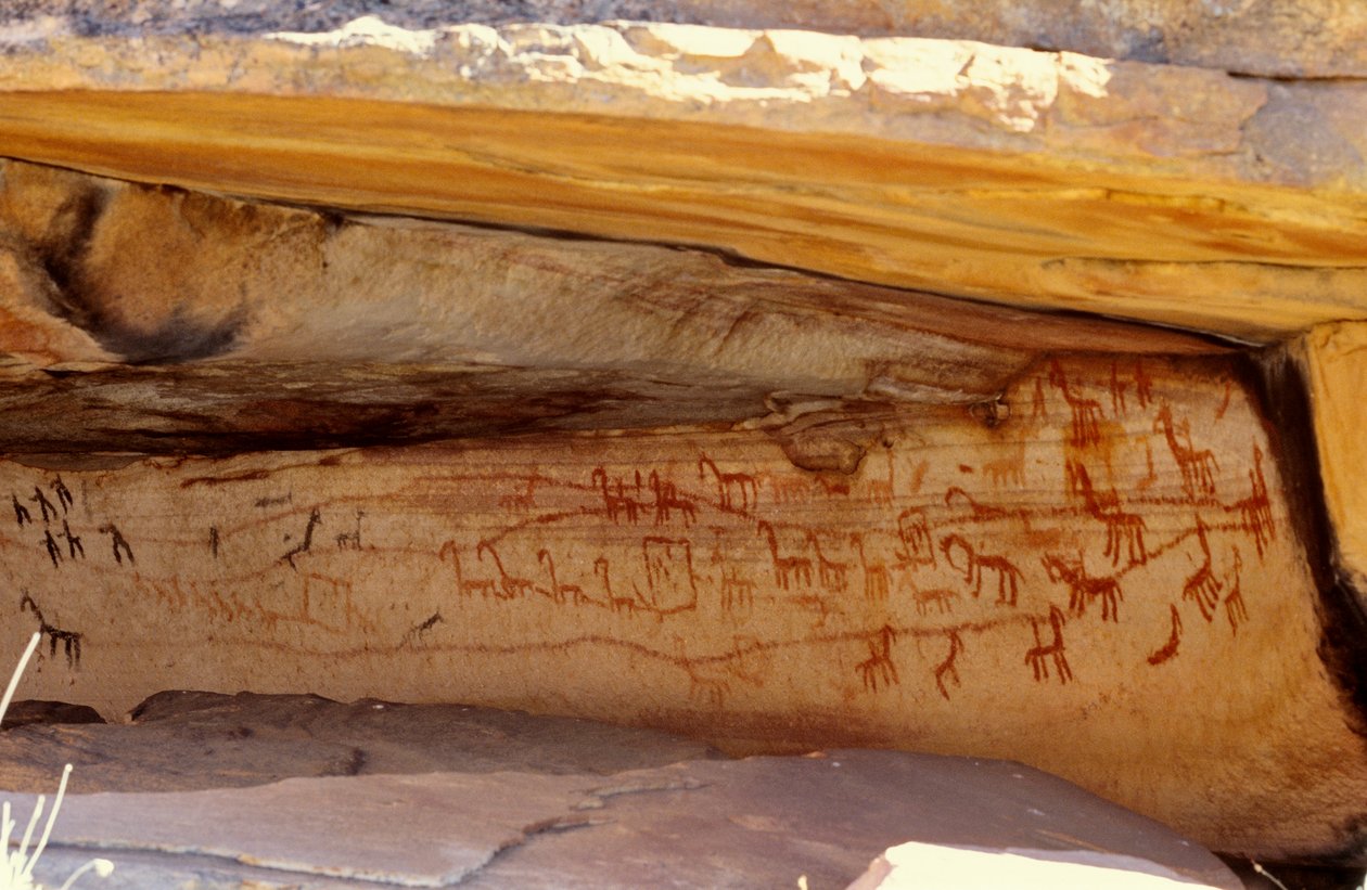 Peintures rupestres des San (Bushmen), Cedarburg, Cap-Occidental - Unknown