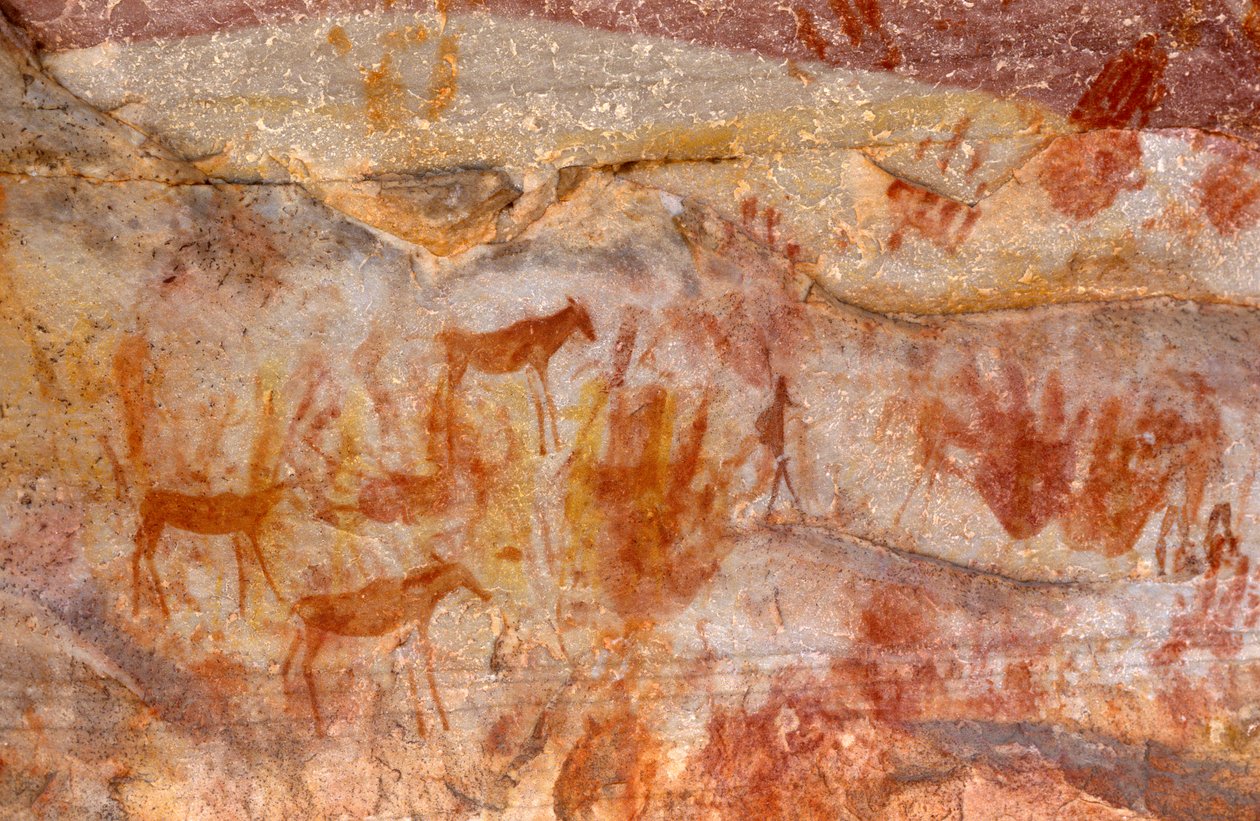 Peintures rupestres des San (Bushmen), Cedarburg, Cap-Occidental - Unknown