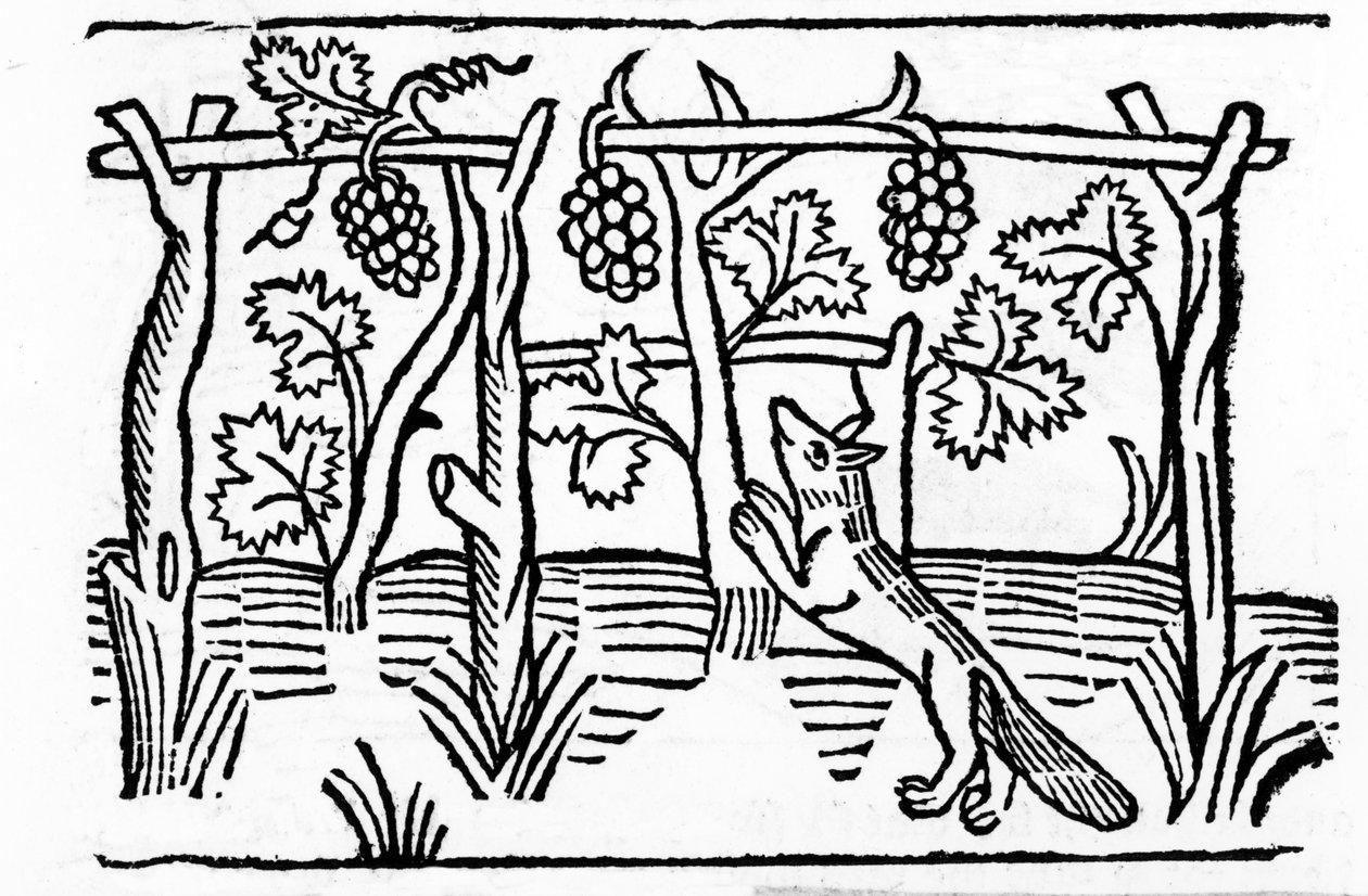 Le Renard et les Raisins, illustration des 