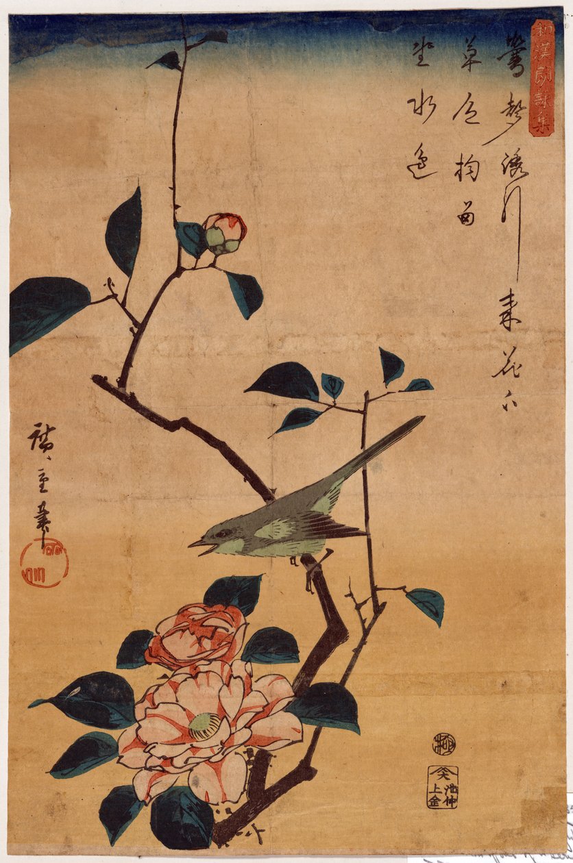 Tsubaki ni Uguisu (Camélia et Bouscarle) - Utagawa Hiroshige