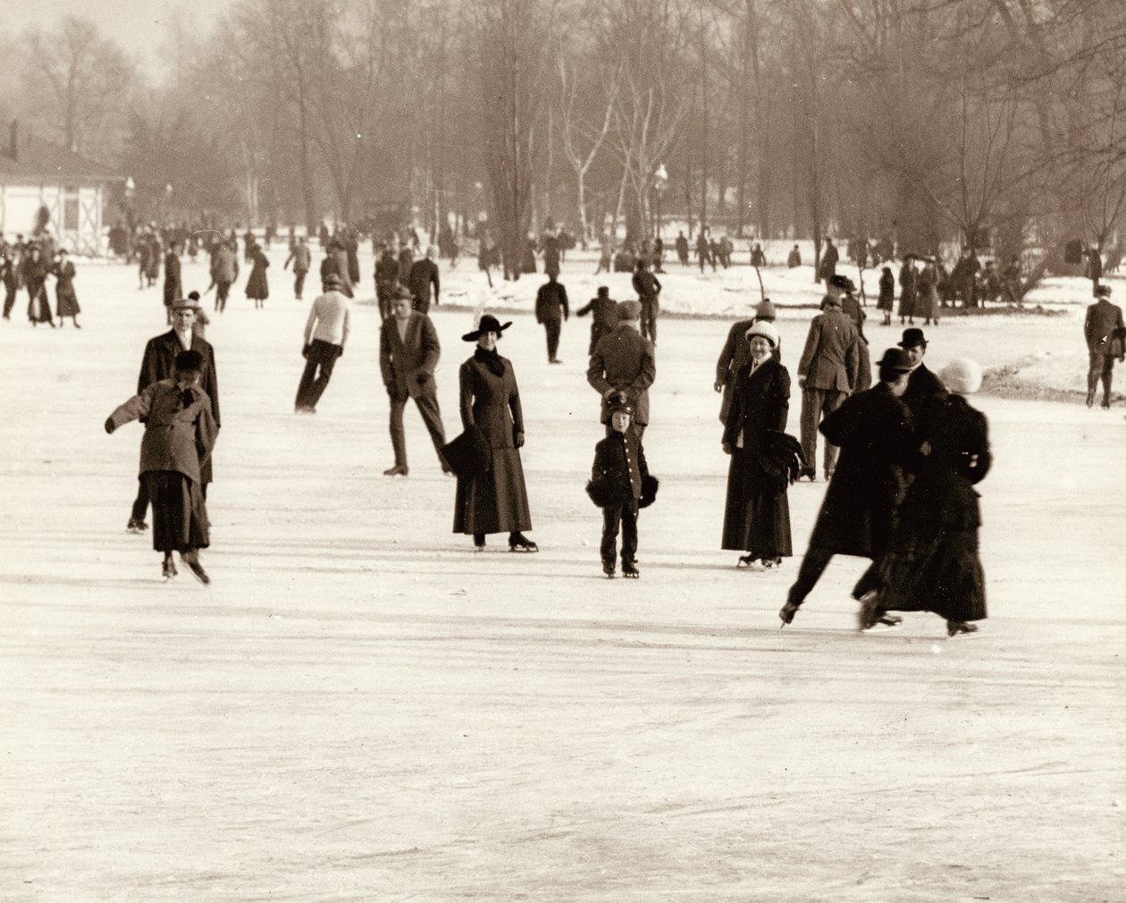 Patineurs sur glace dans le parc Forest - Unknown