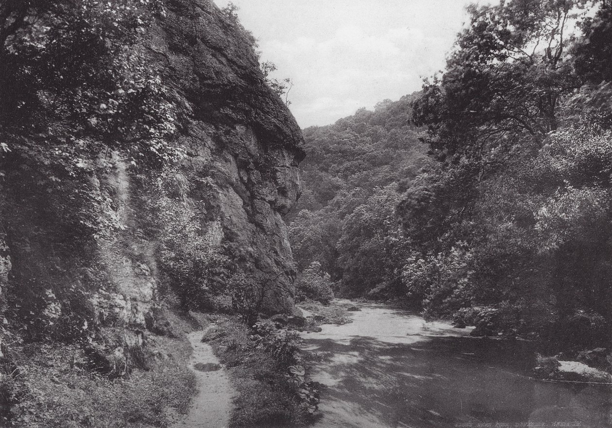 Tête de lion, Dovedale - (after) English photographer