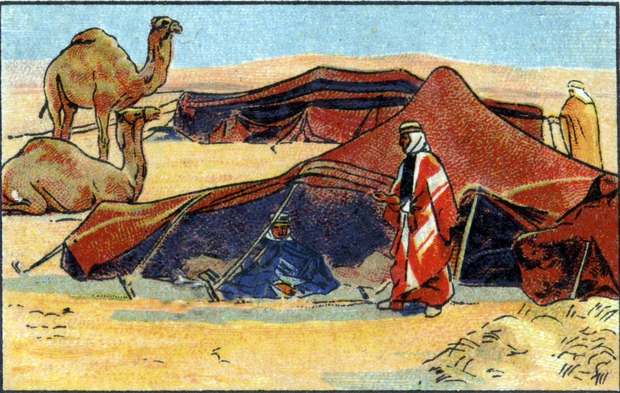 Campement bédouin, 1936 - Unknown