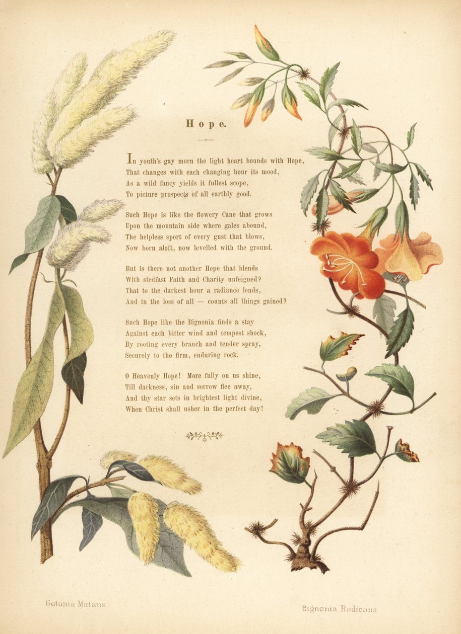 Poème avec bordure florale d