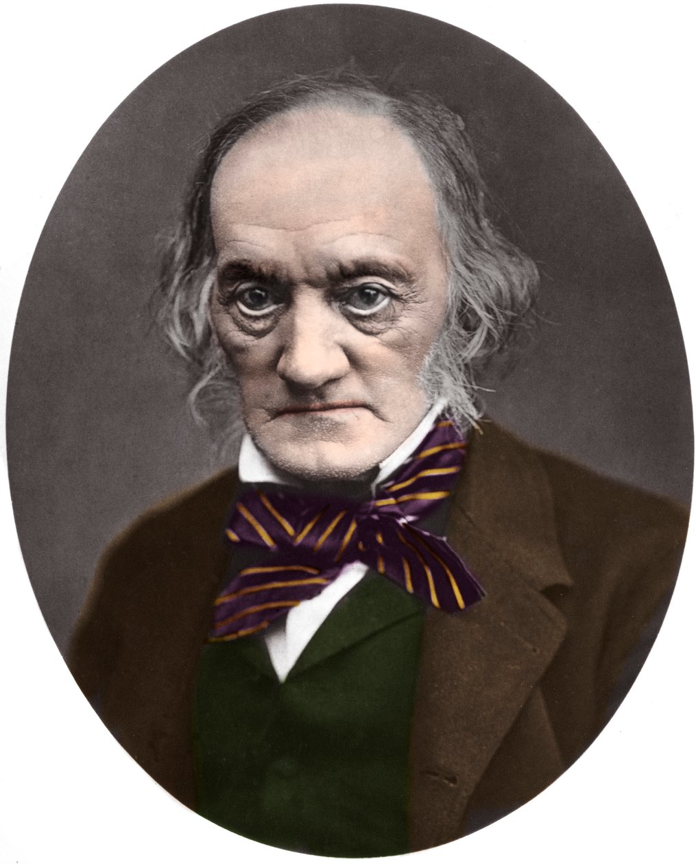 Portrait de Sir Richard Owen (1804-1892), paléontologue et anatomiste britannique - French Photographer