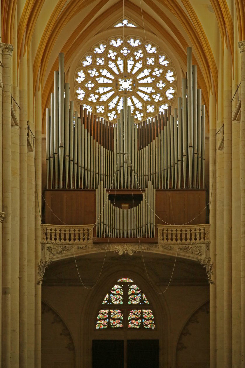 Rosace ouest et orgue - French School