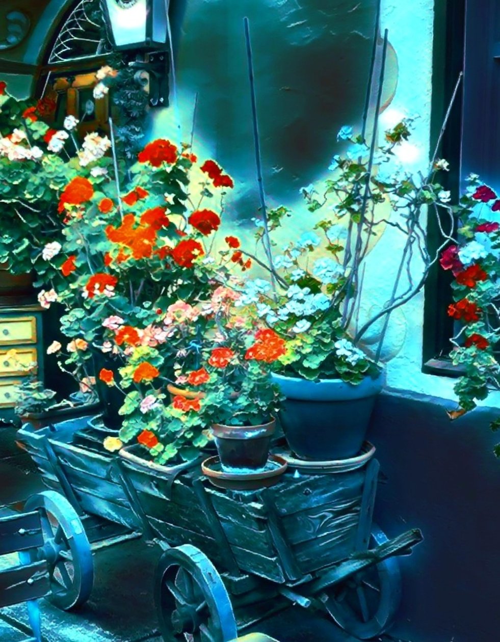 Des fleurs au clair de lune. - Margareta Uliarte