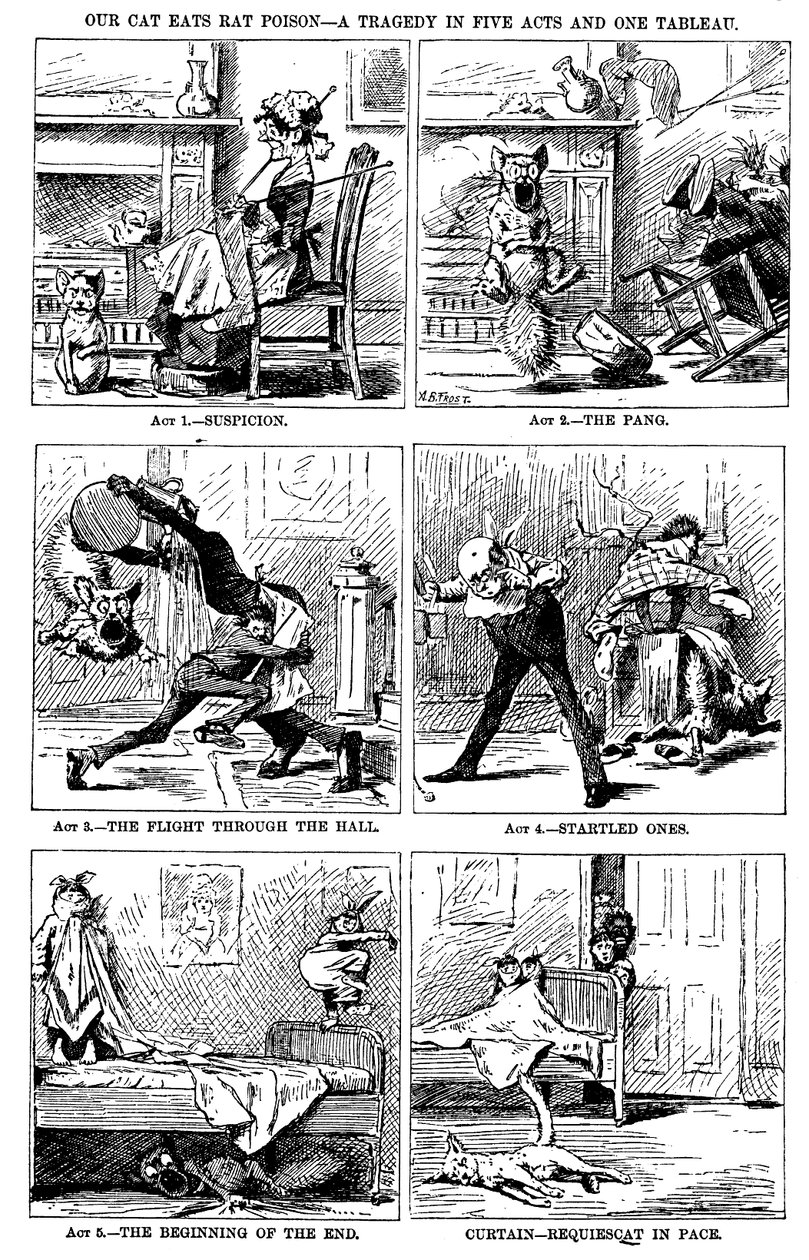 Notre chat mange du poison pour rats, une tragédie en cinq actes et un tableau - A. B. Frost