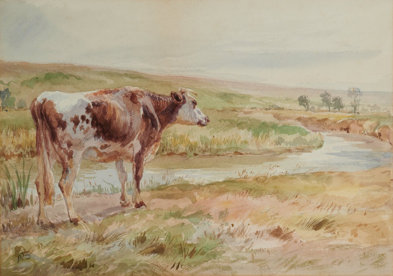 Paysage avec rivière et vache - A Brown