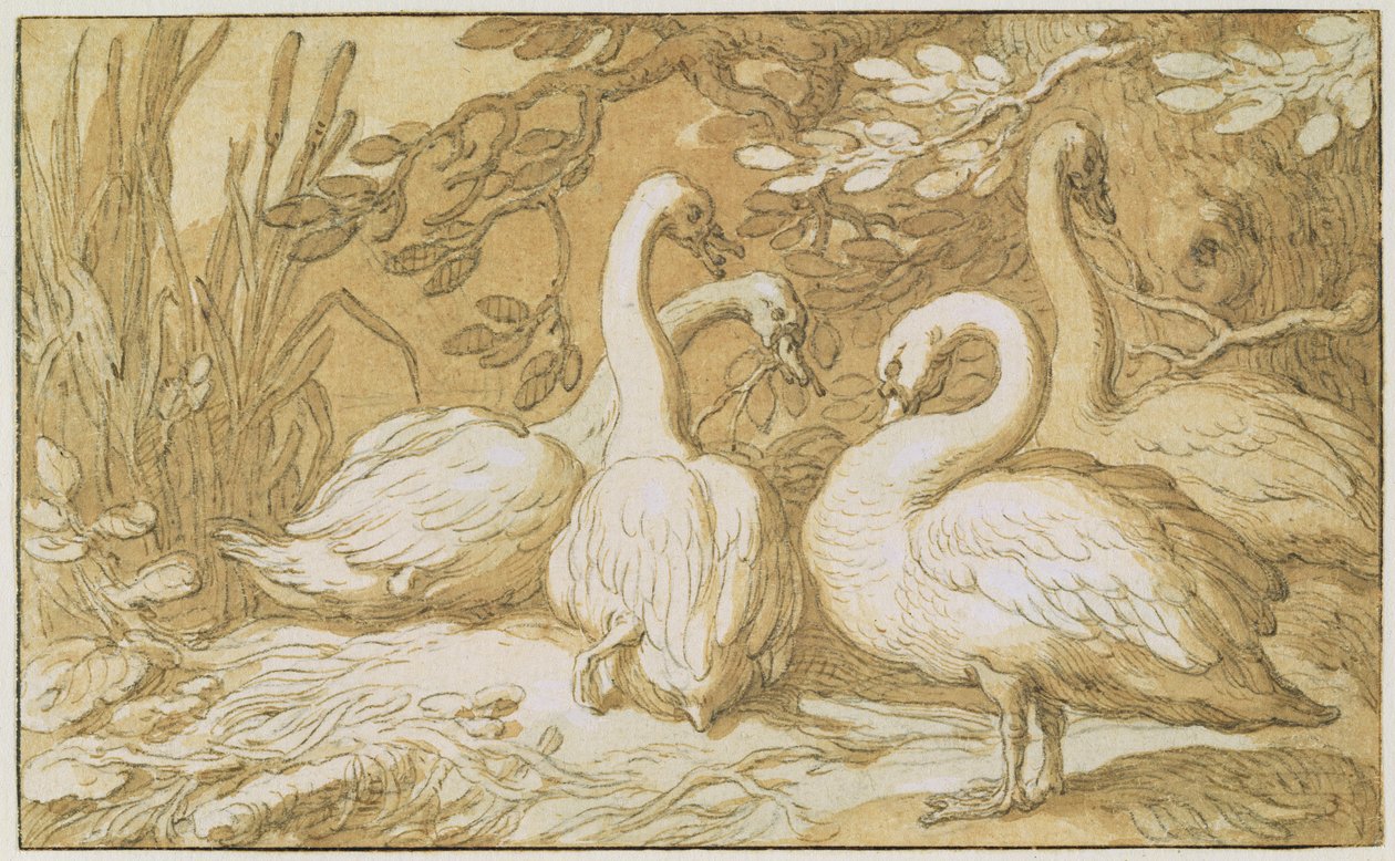 Un groupe de cygnes - Abraham Bloemaert