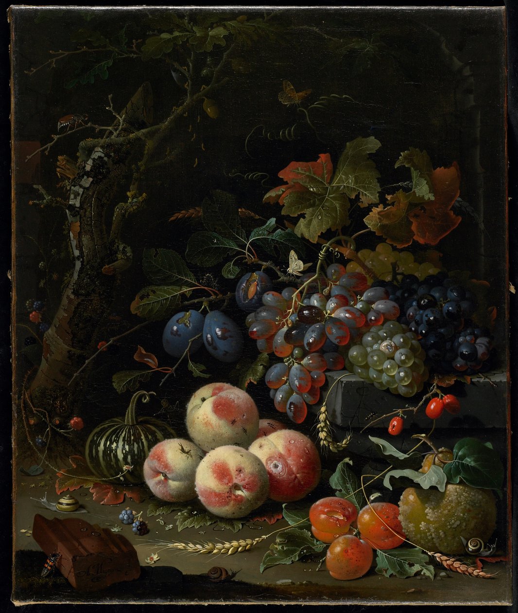 Nature morte avec fruits, feuillage et insectes, c.1669 - Abraham Mignon