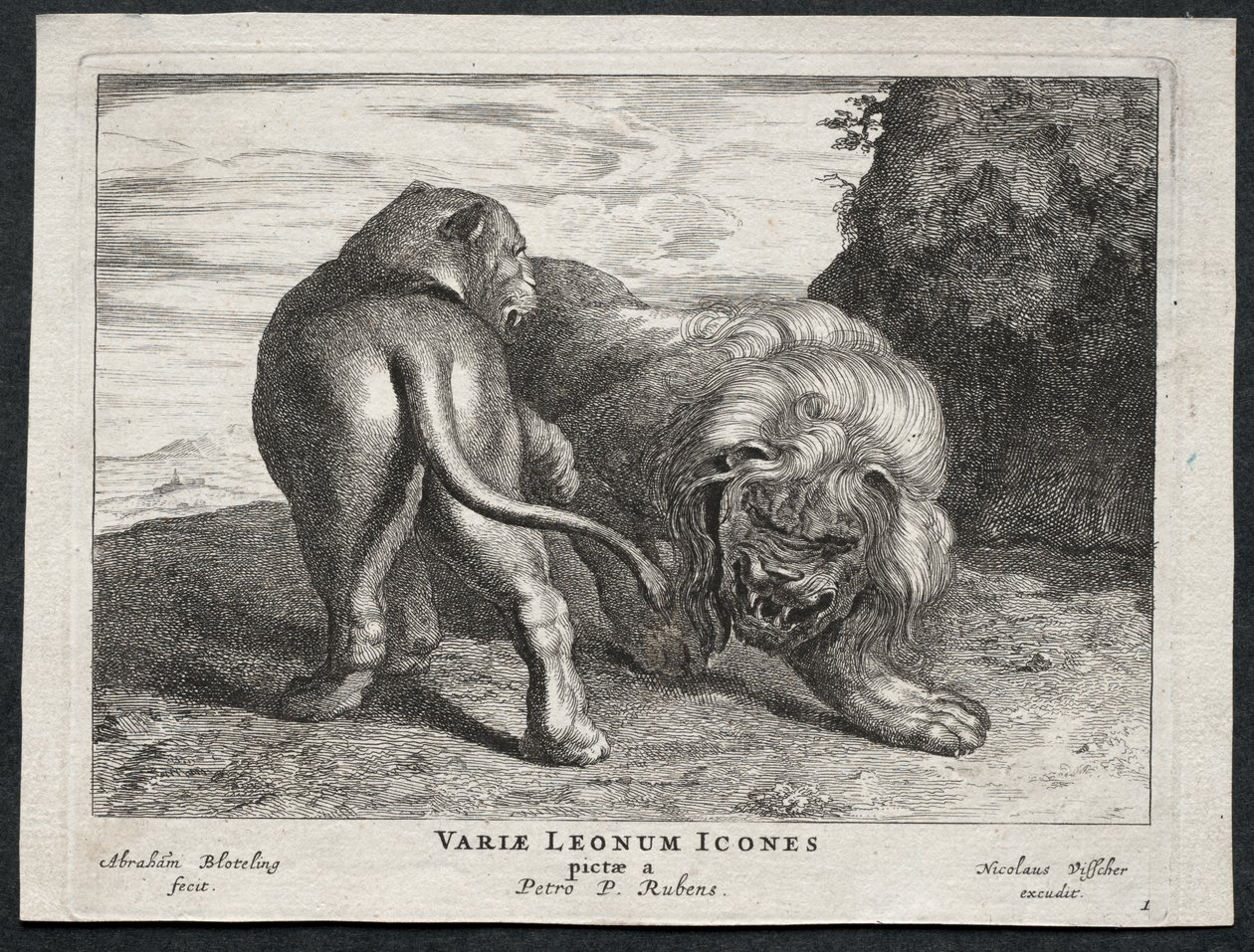 Divers lions - Abraham Blooteling