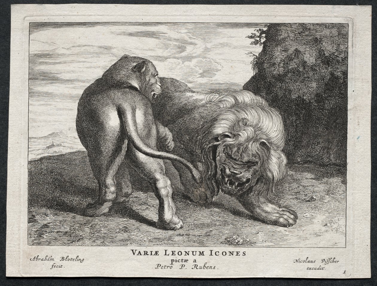 Divers lions - Abraham Blooteling