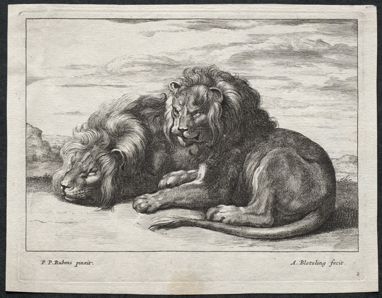 Divers lions - Abraham Blooteling