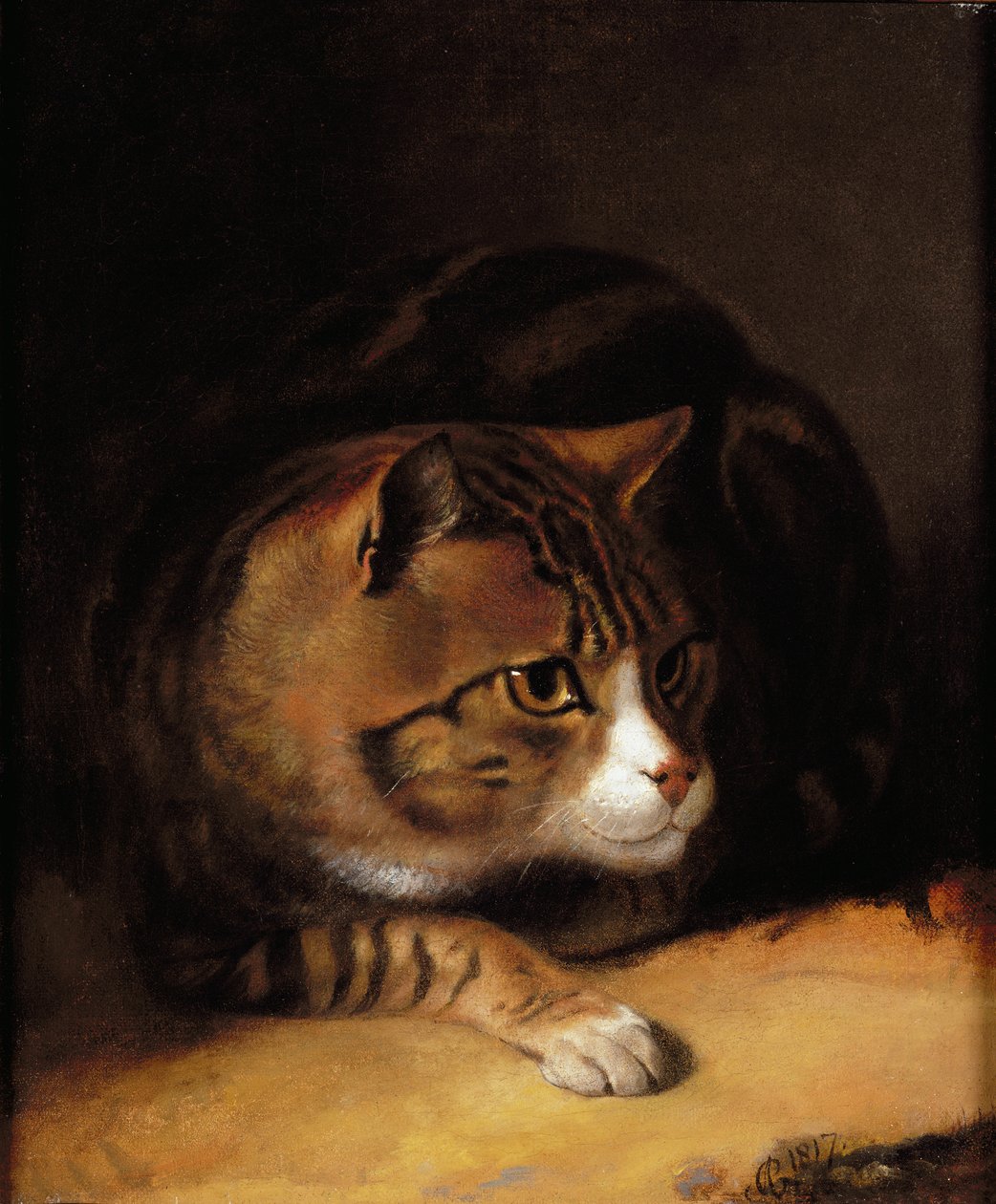Un chat tigré - Abraham Cooper