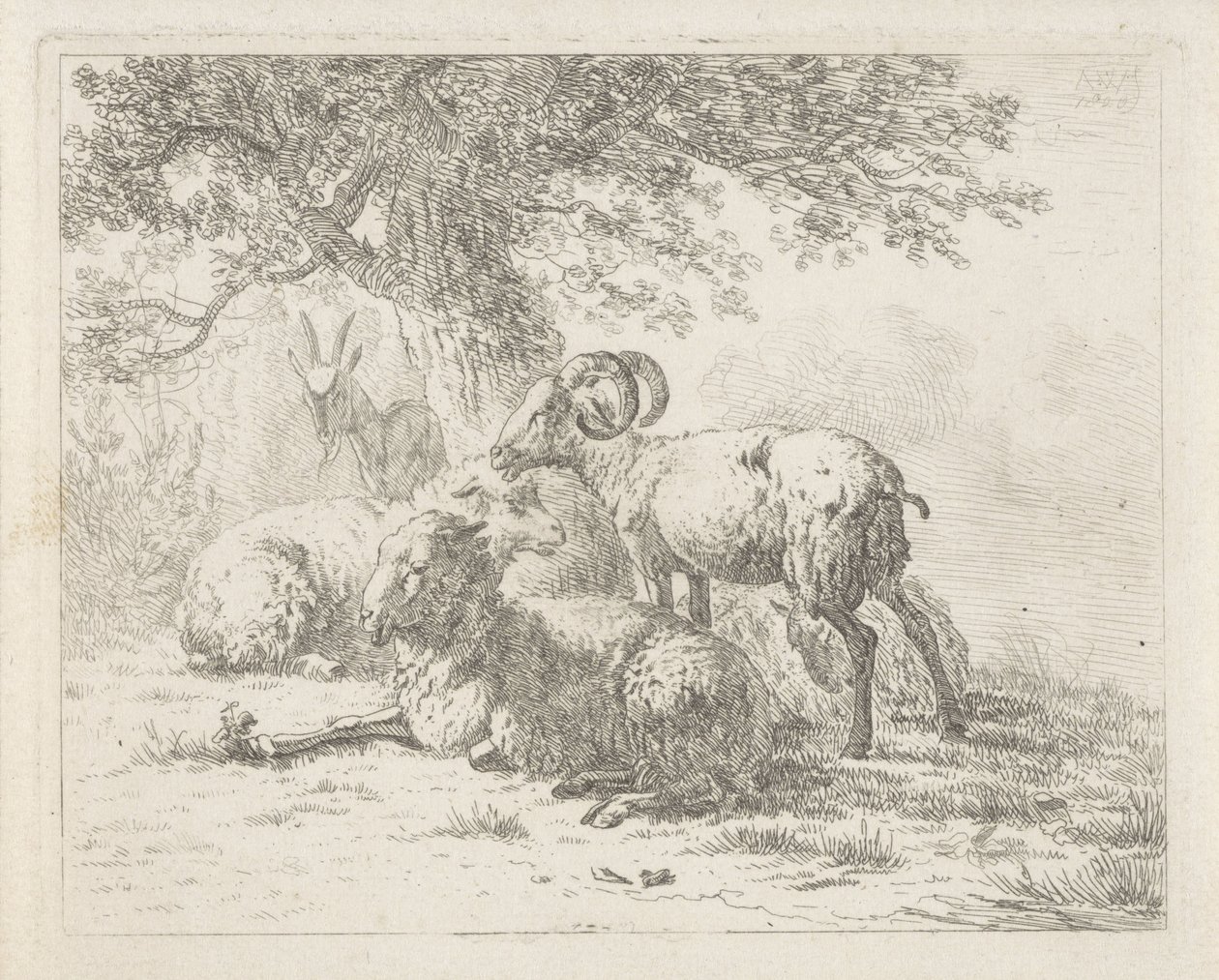 Moutons et un bouc - Abraham Hendrik Winter