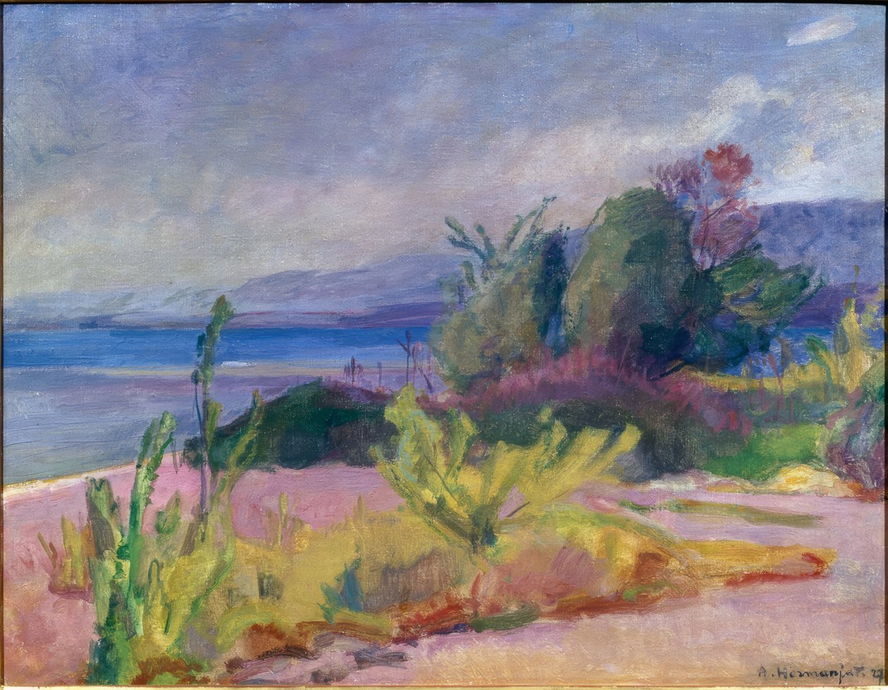 Grève Rose - Abraham Hermanjat