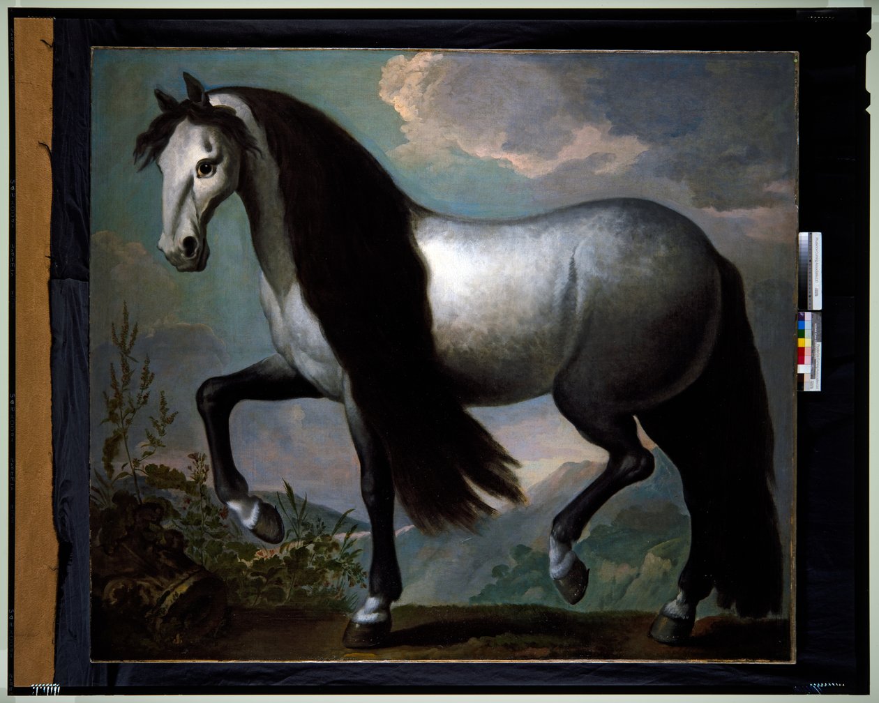 Cheval dans un paysage - Abraham Jansz. van Diepenbeeck
