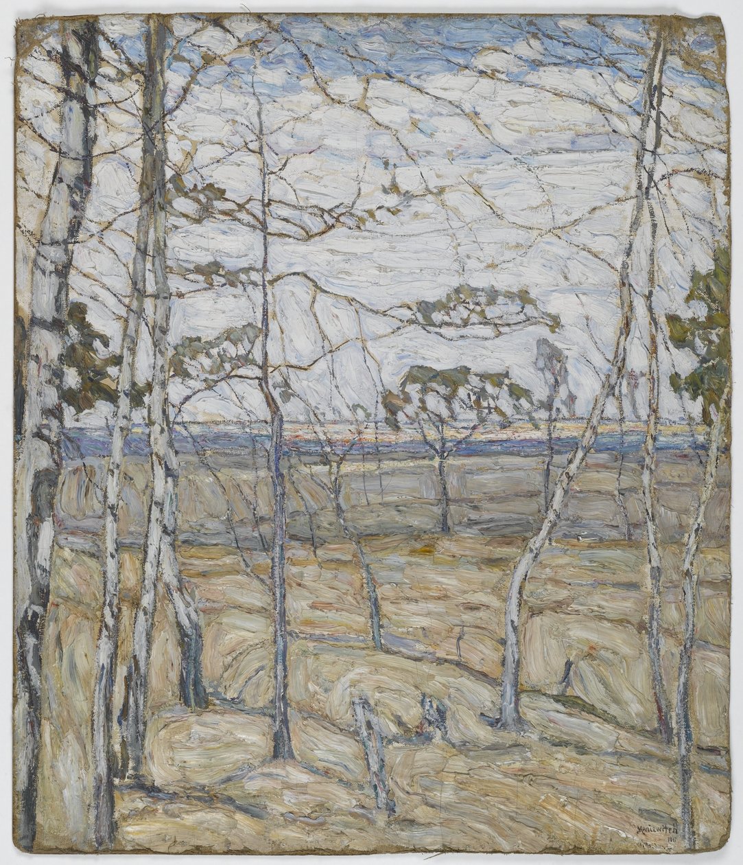 Arbres de bouleau - Abraham Manievich