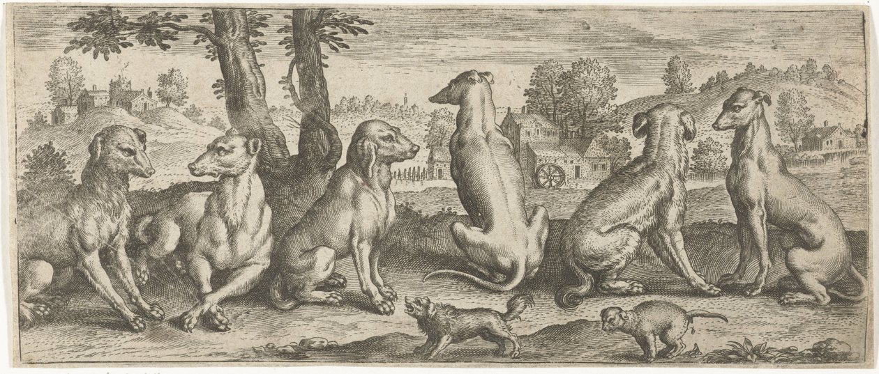 Chiens - Abraham de Bruyn (possibly)
