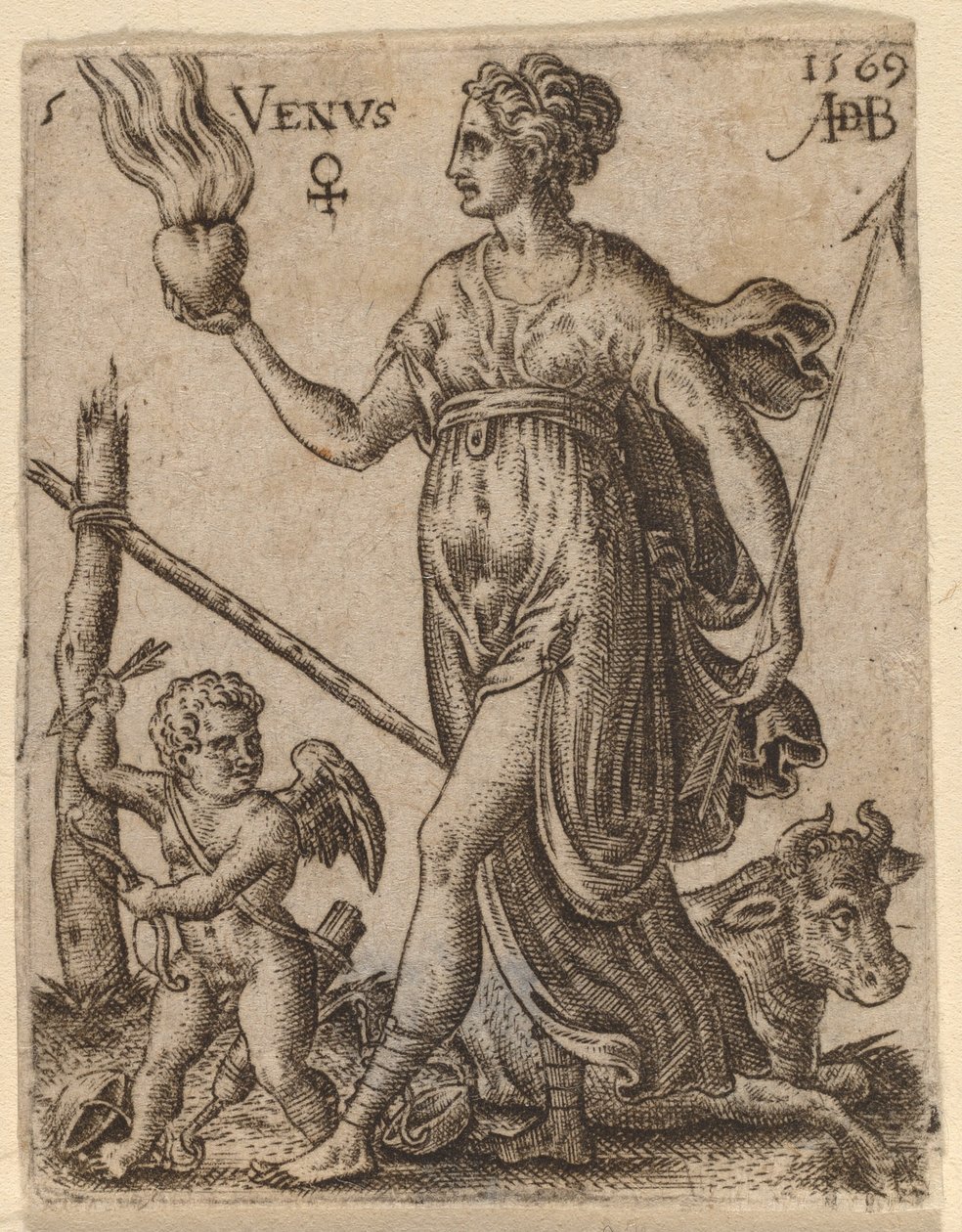 Vénus - Abraham de Bruyn