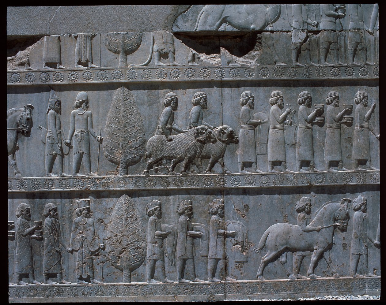 Vue des reliefs des escaliers est - Achaemenid