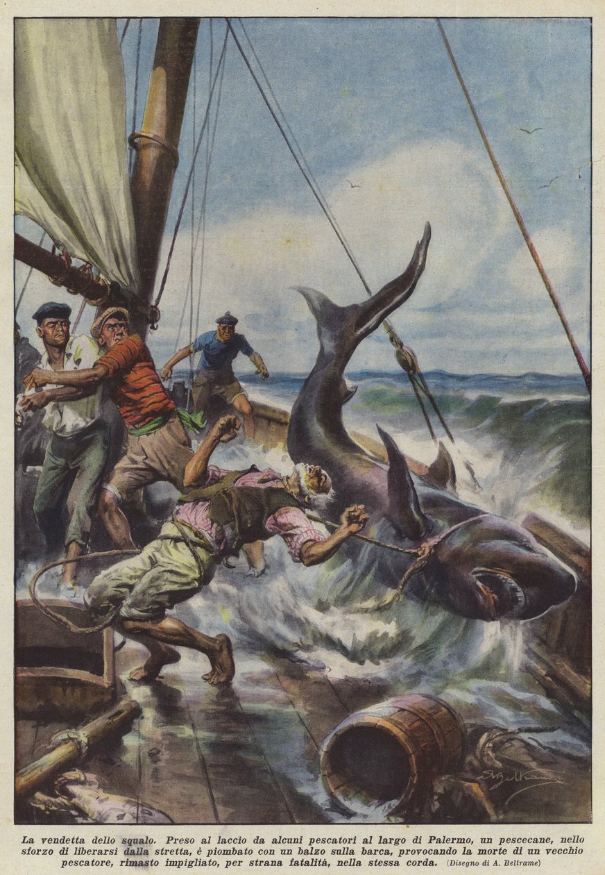 La vengeance du requin - Achille Beltrame