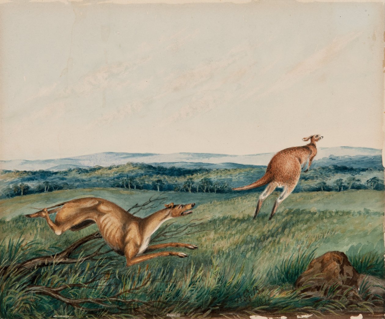 Chien poursuivant un kangourou - Adam Gustavus Ball
