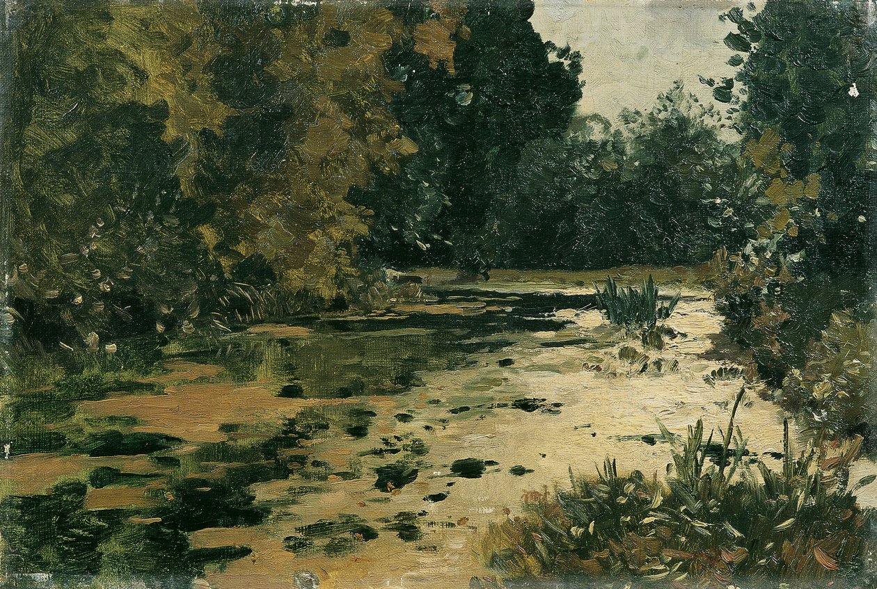 Étang forestier - Adolf Gustav Ditscheiner