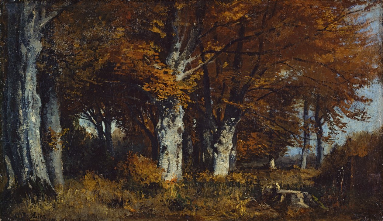 Forêt de hêtres en automne - Adolf Heinrich Lier