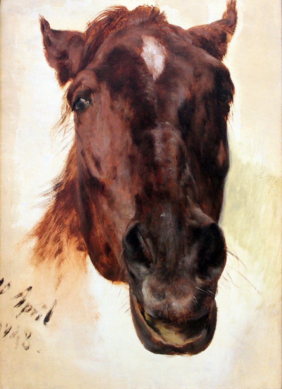 Étude de cheval - Adolph Menzel