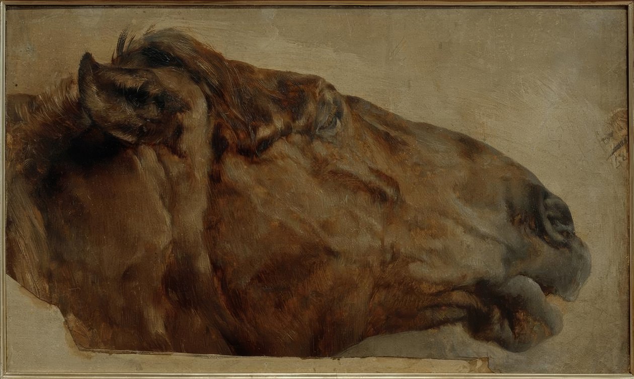 Étude de cheval. Tête de profil vers la droite - Adolph Menzel