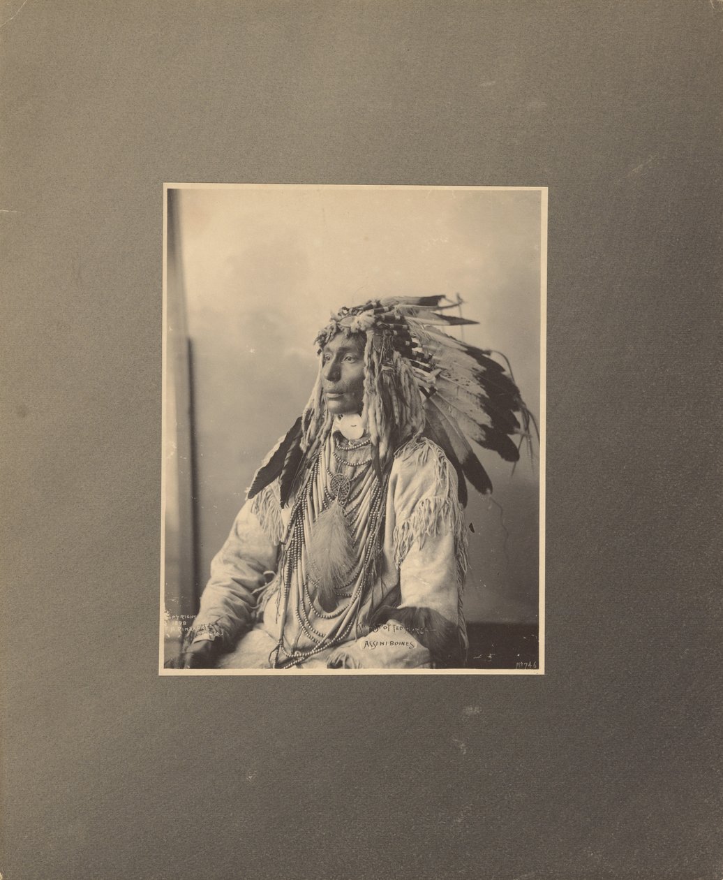 Tuer le cheval tacheté, Assiniboines - Adolph F. Muhr