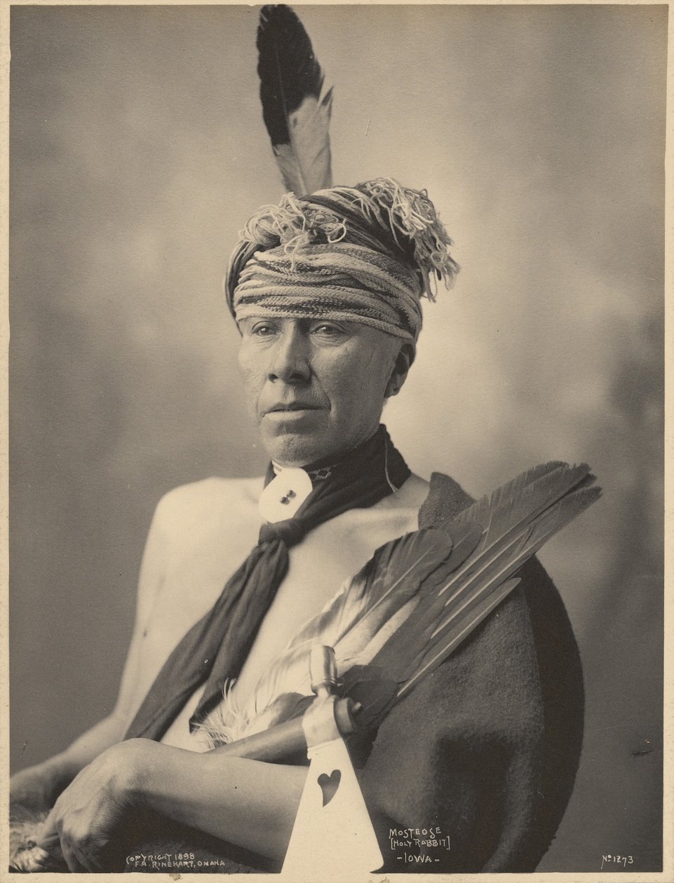 Mosteose (lapin saint), Iowa - Adolph F. Muhr