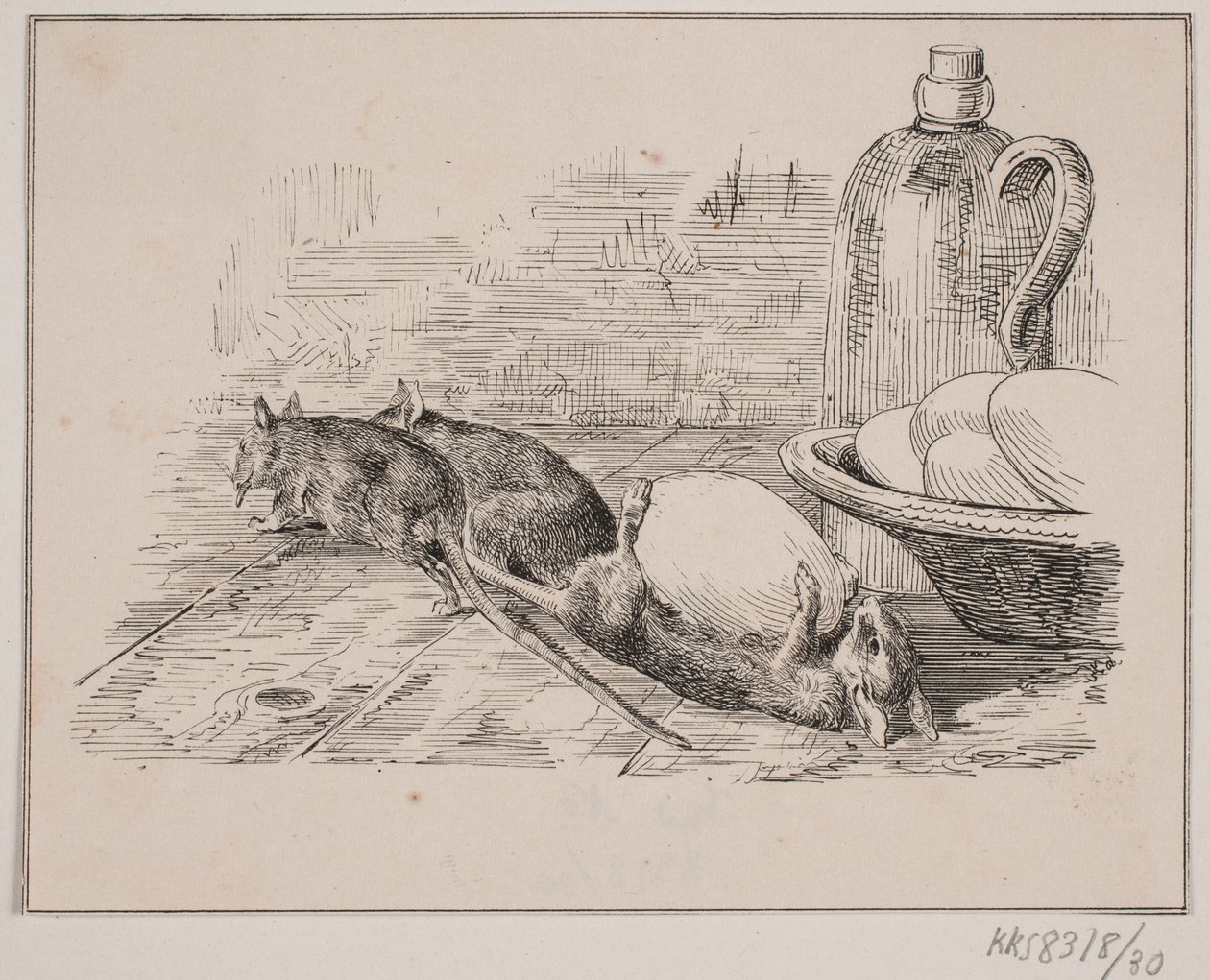Les rats - Johan Adolph Kittendorff