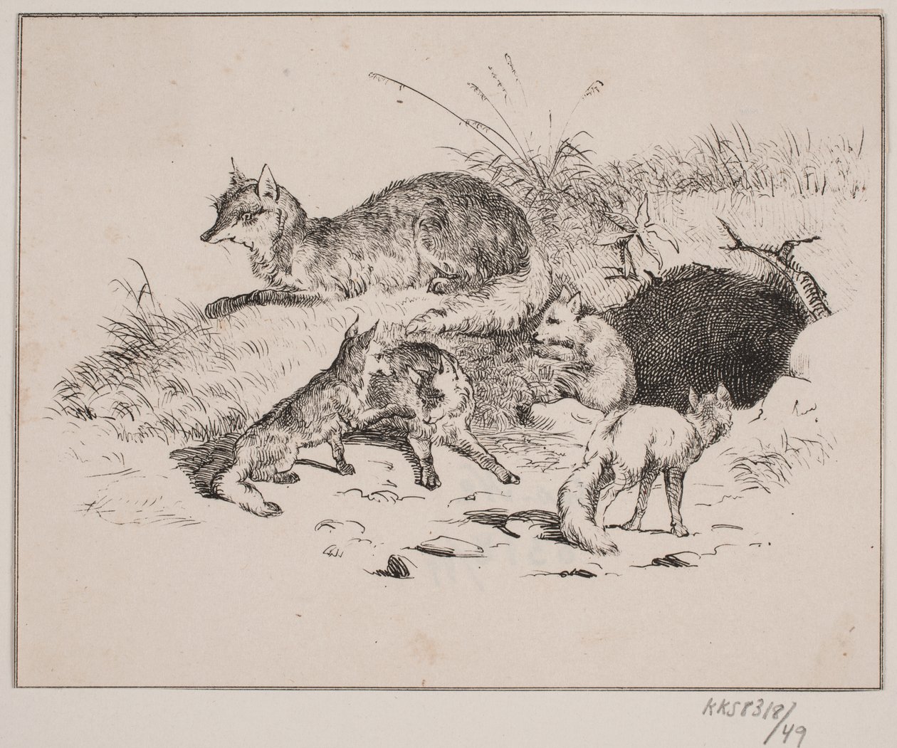 Le renard - Johan Adolph Kittendorff
