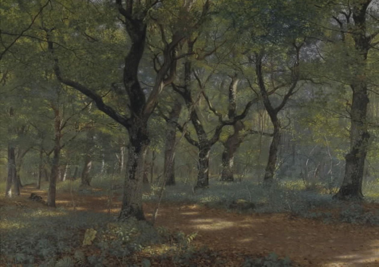 Dans la forêt - Adolph Larsen