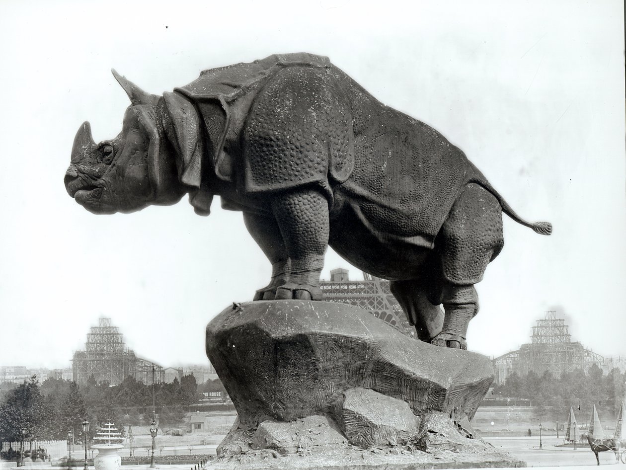 Rhinocéros, 1878, par Alfred Jacquemart devant le Palais du Trocadéro, construit pour l