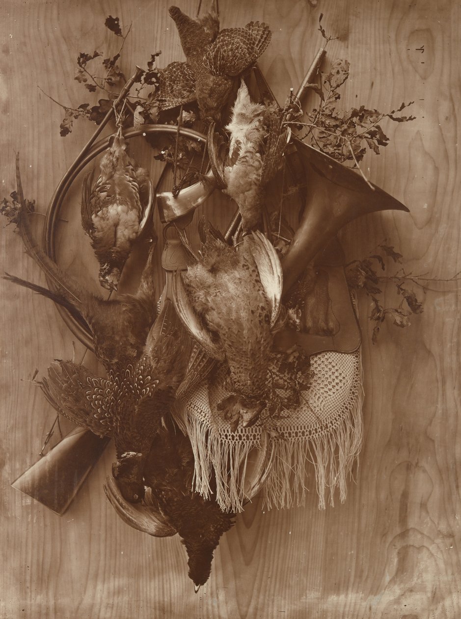 Faisan et Grouse, vers 1865 - Adolphe Braun