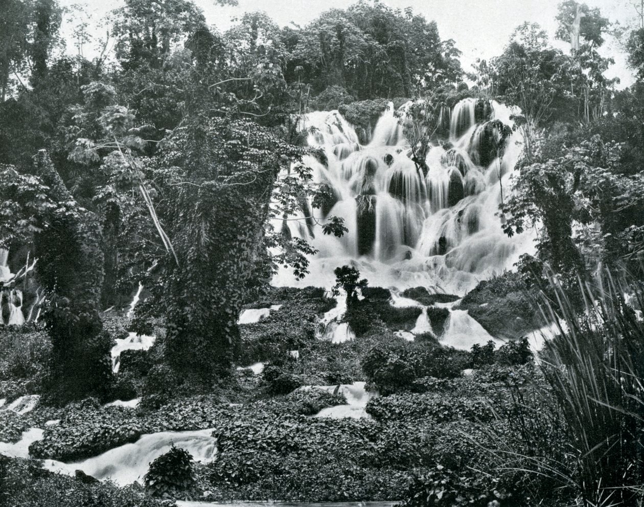 Chutes de la rivière Roaring, Jamaïque, vers 1905 - Adolphe Duperly and Son