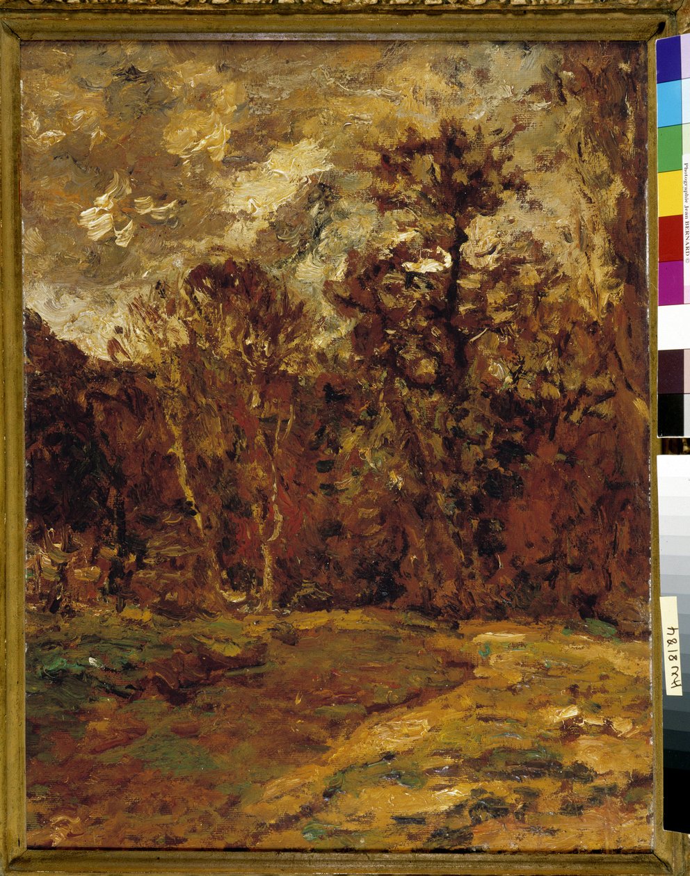 Paysage d