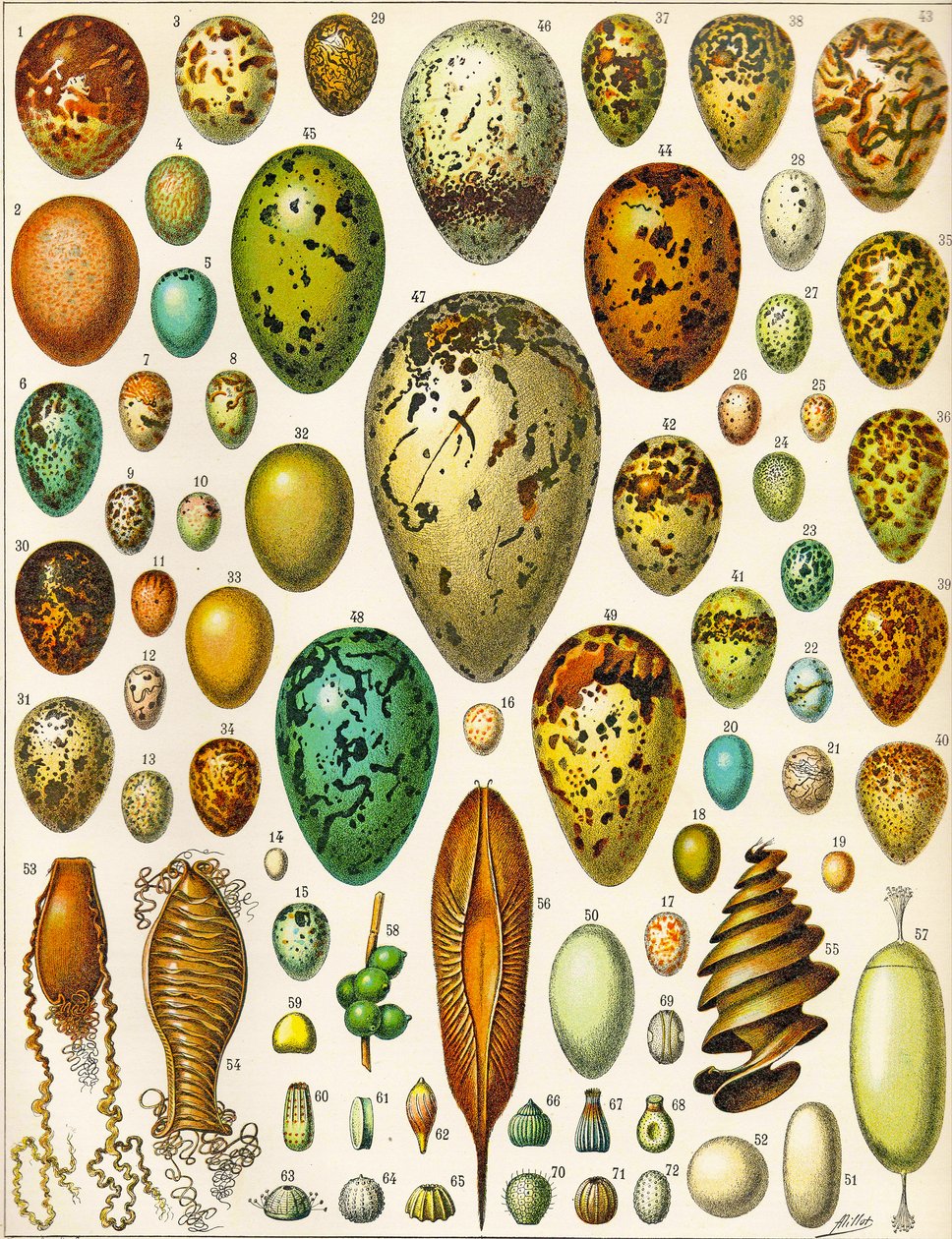 Illustration d