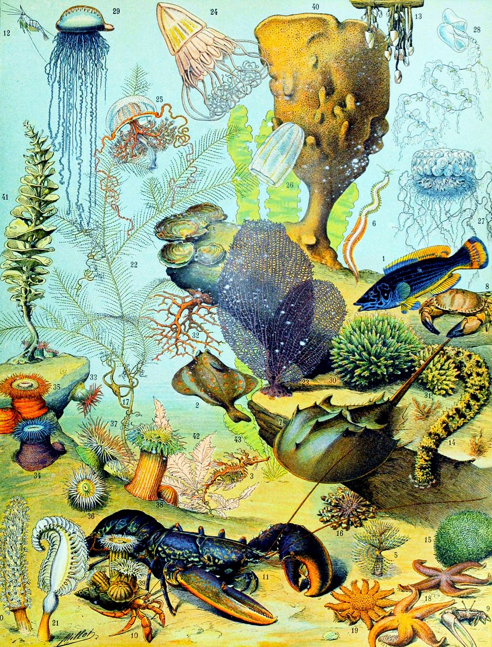 Illustration d
