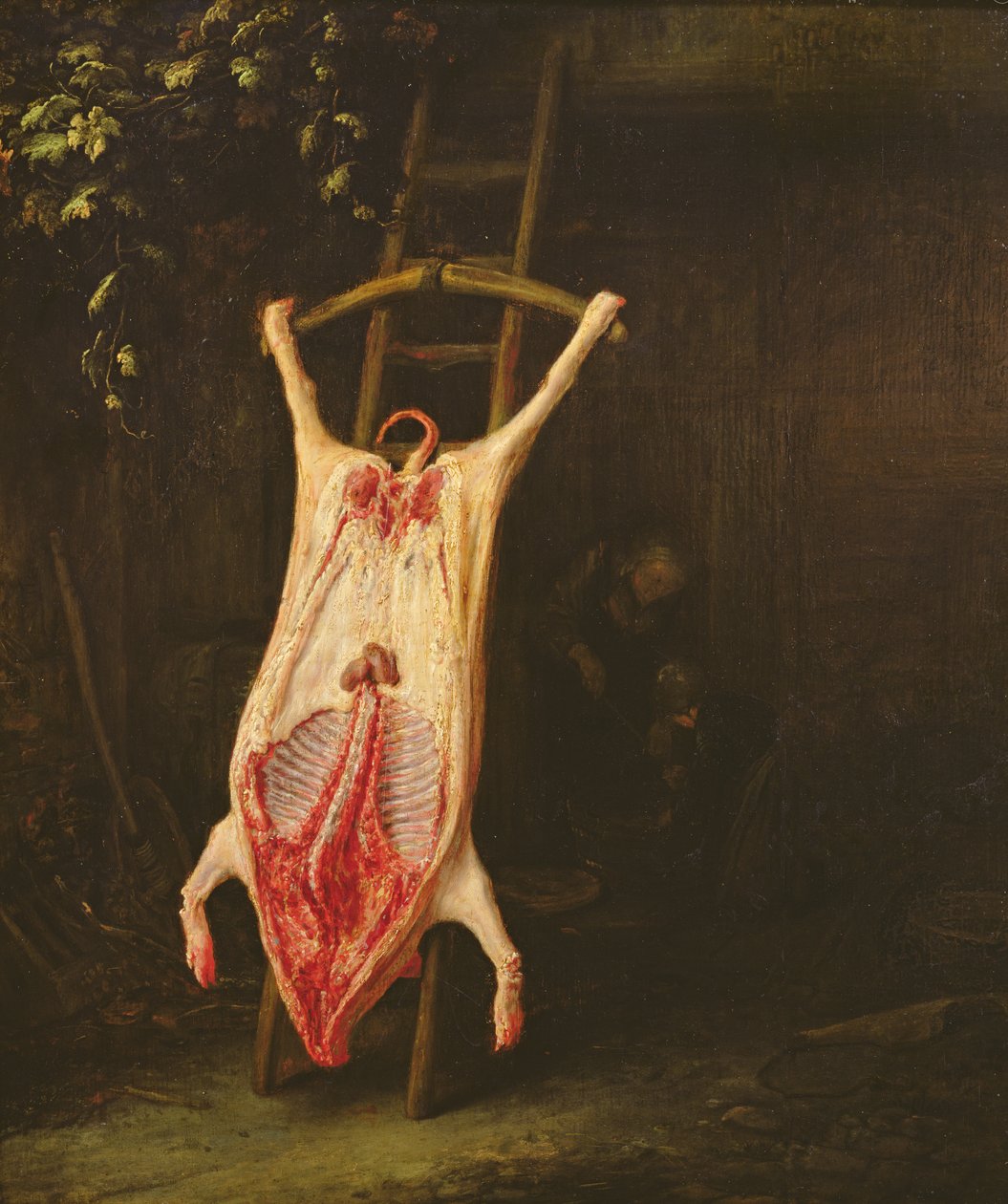 Cochon écorché - Adriaen Jansz. van Ostade