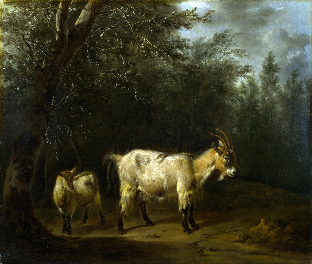 Une chèvre et un chevreau - Adriaen van de Velde