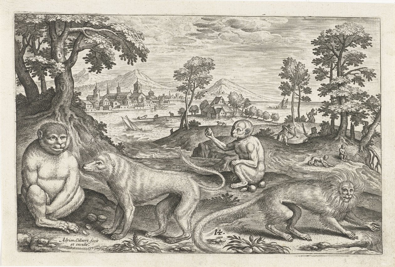 Singes - Adriaen Collaert