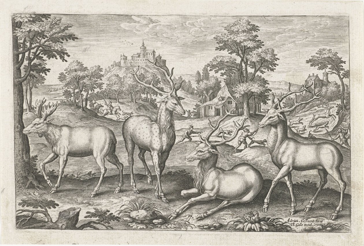 Cerfs - Adriaen Collaert