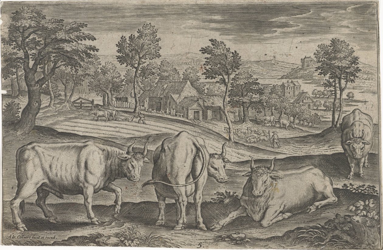 Bovins - Adriaen Collaert