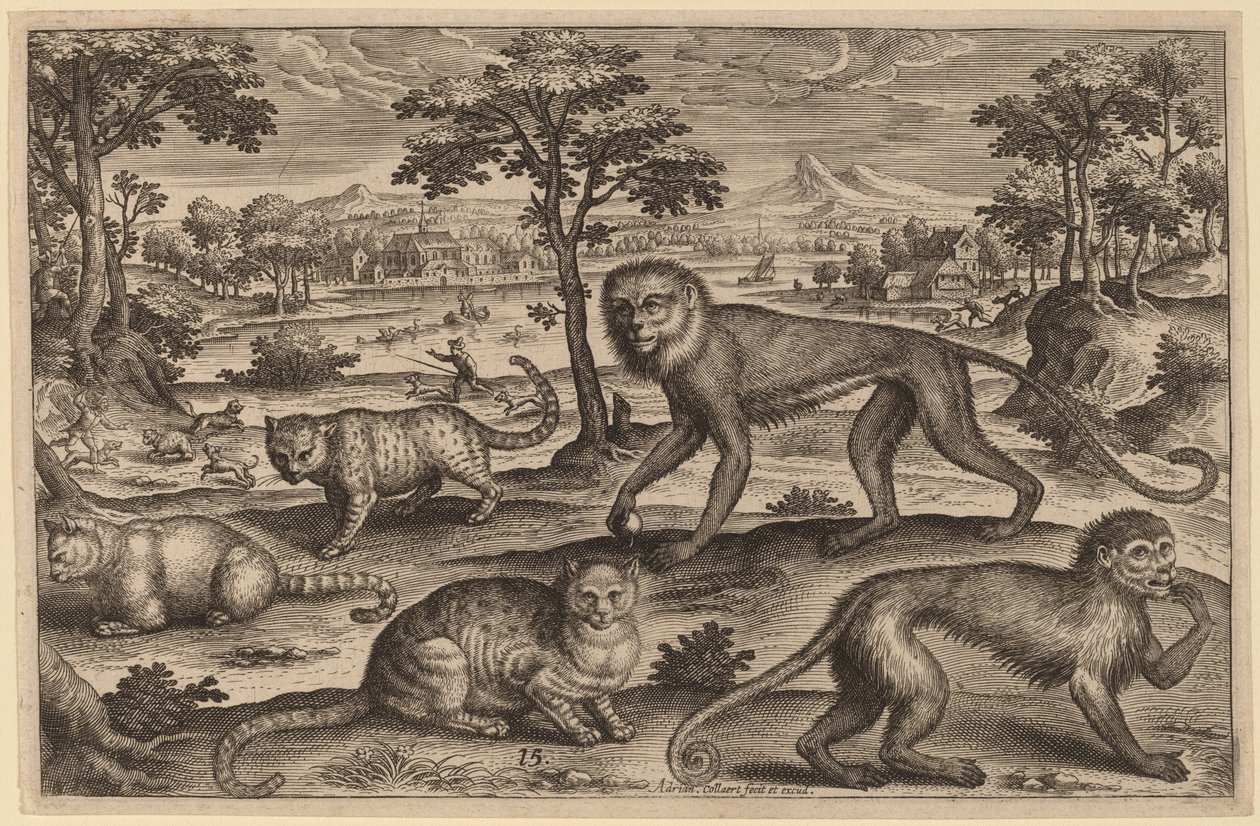 Trois chats et deux singes - Adriaen Collaert